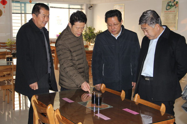 领导视察