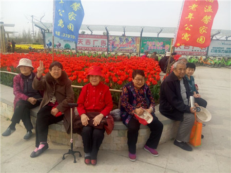 春游赏花
